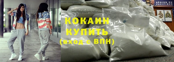 ПСИЛОЦИБИНОВЫЕ ГРИБЫ Горняк