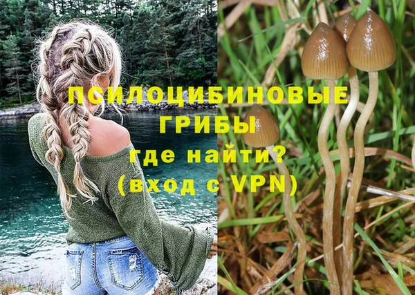 марки nbome Вяземский