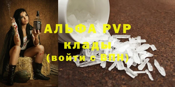 марки nbome Вяземский