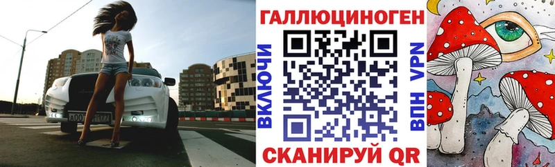 Купить где  Кологрив  Галлюциногенные грибы Psilocybe 